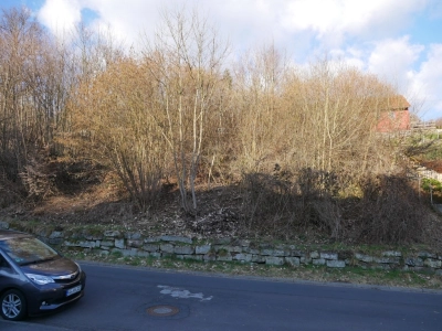 Immobilien Bild