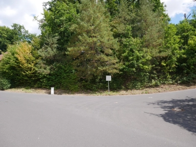 Immobilien Bild
