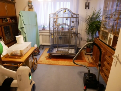 Wohnzimmer EG